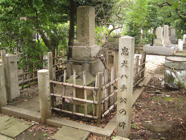 Kuburan Hachiko